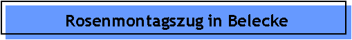 Rosenmontagszug in Belecke
